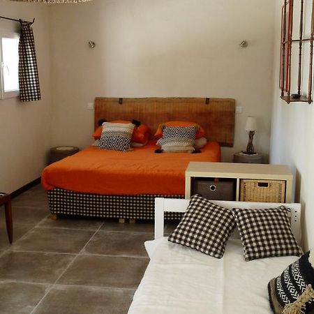 Bed and Breakfast Bergerie D'Alivon En Camargue Albaron Zewnętrze zdjęcie