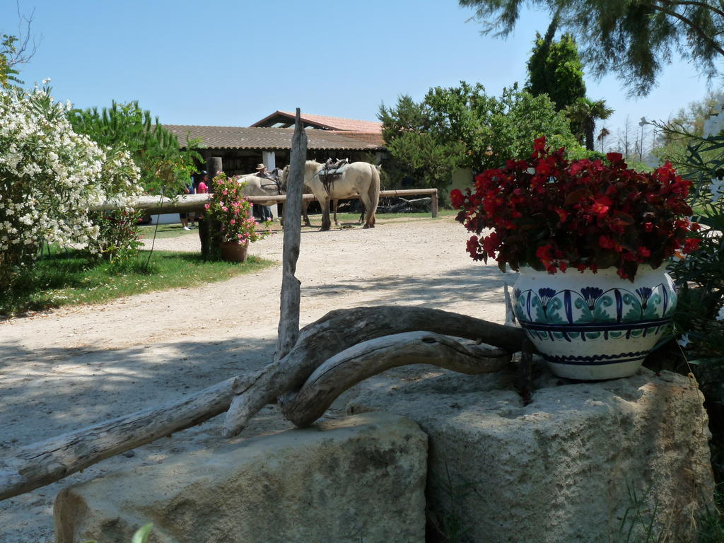 Bed and Breakfast Bergerie D'Alivon En Camargue Albaron Zewnętrze zdjęcie